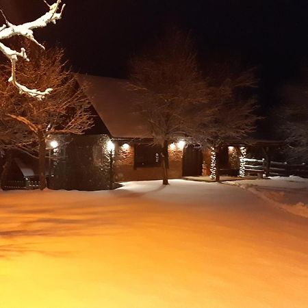 Holiday Home "Sleme" With Jacuzzi, Big Garden And Arbor With Fireplace Skrad Kültér fotó