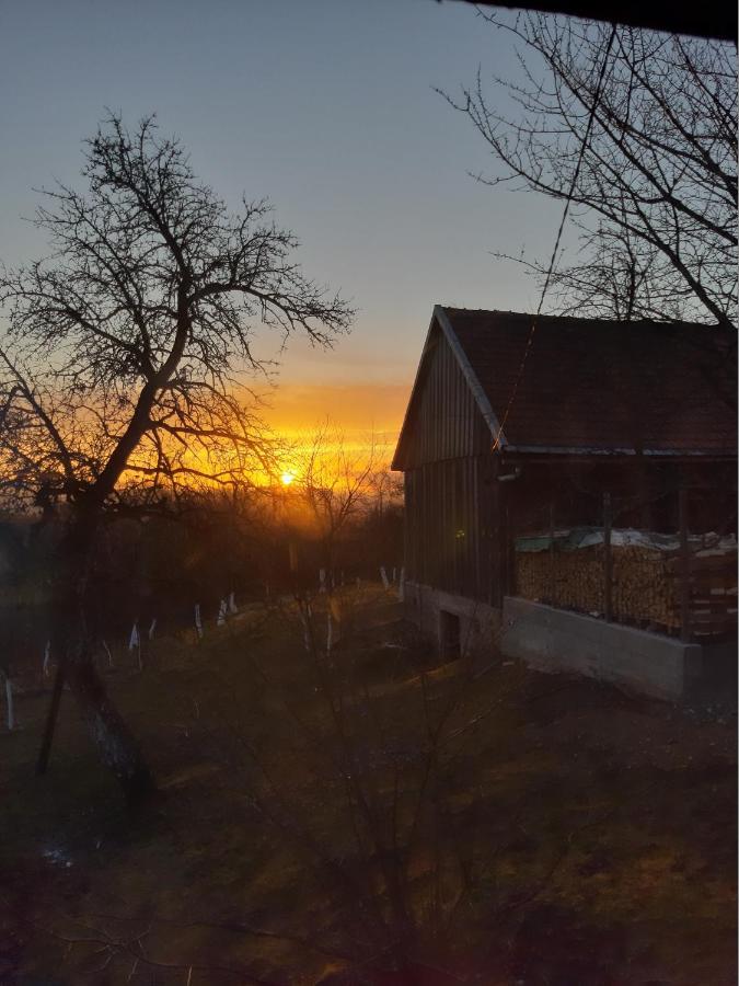Holiday Home "Sleme" With Jacuzzi, Big Garden And Arbor With Fireplace Skrad Kültér fotó
