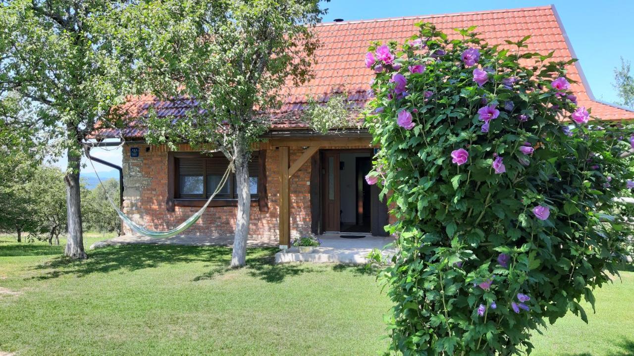 Holiday Home "Sleme" With Jacuzzi, Big Garden And Arbor With Fireplace Skrad Kültér fotó