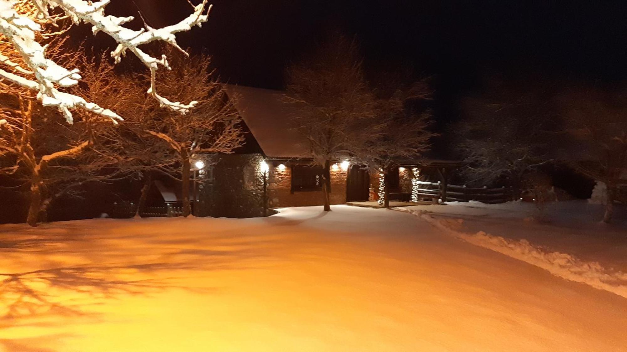 Holiday Home "Sleme" With Jacuzzi, Big Garden And Arbor With Fireplace Skrad Kültér fotó